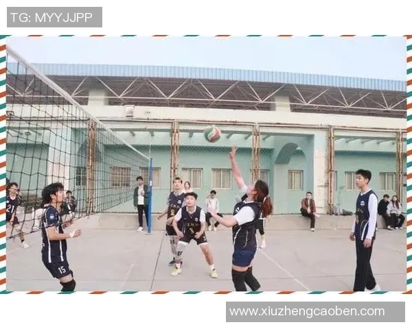 成都排球队的速度之美与技术探秘，展现排球运动的魅力与激情