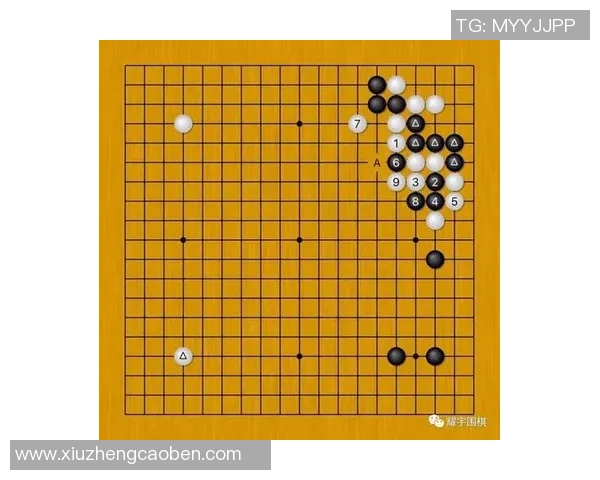 陈军深度解析羽毛球技巧与心得分享助你提升竞技水平