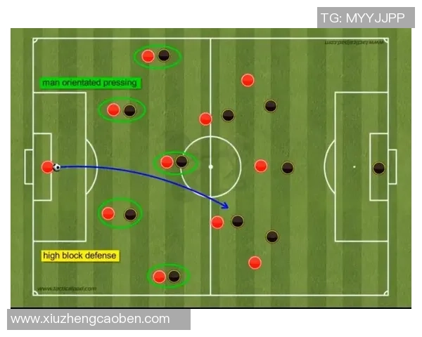 深入分析西安乒乓球队独特的防守策略与战术特点